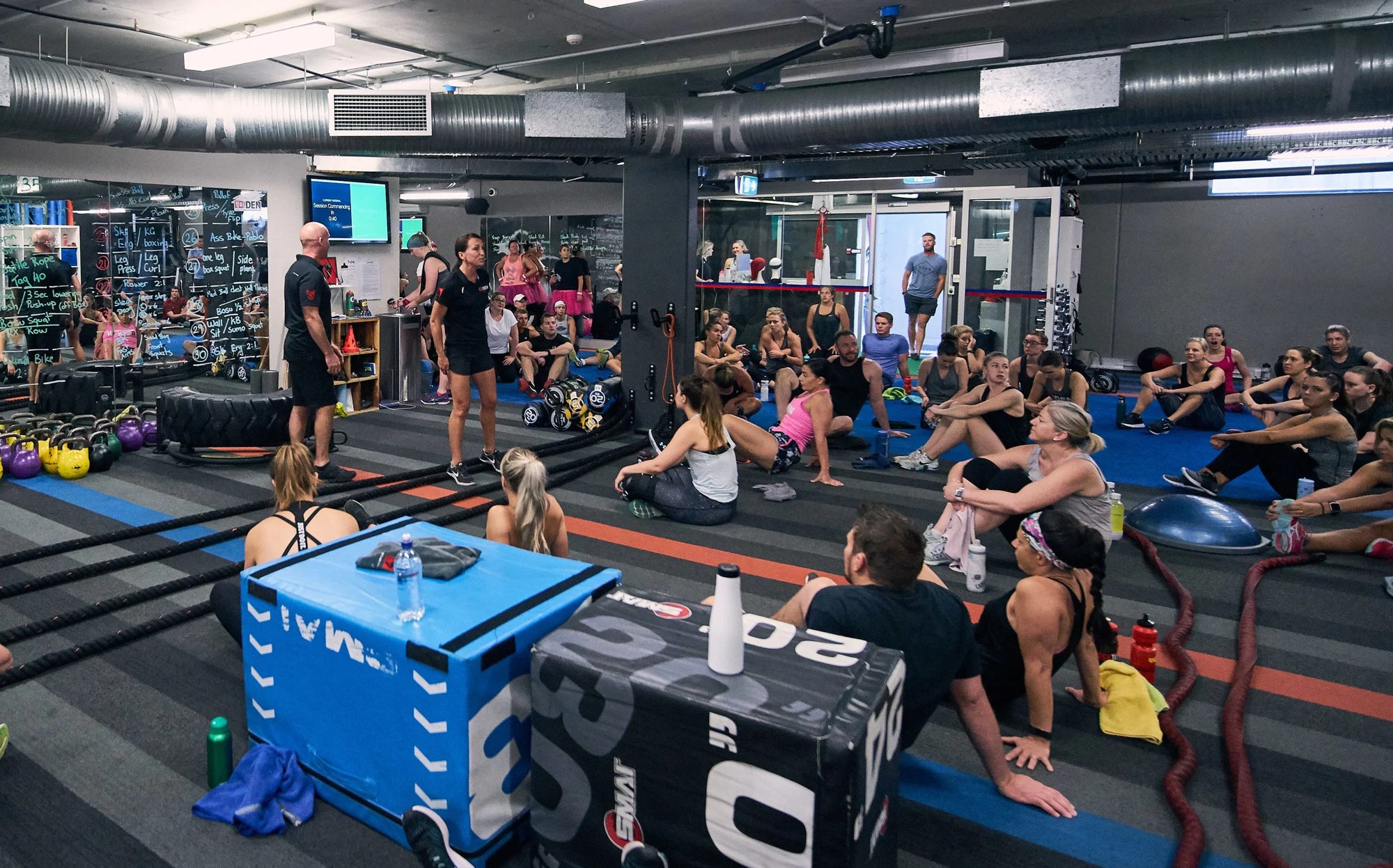 The pack today: a full floor mid-session
